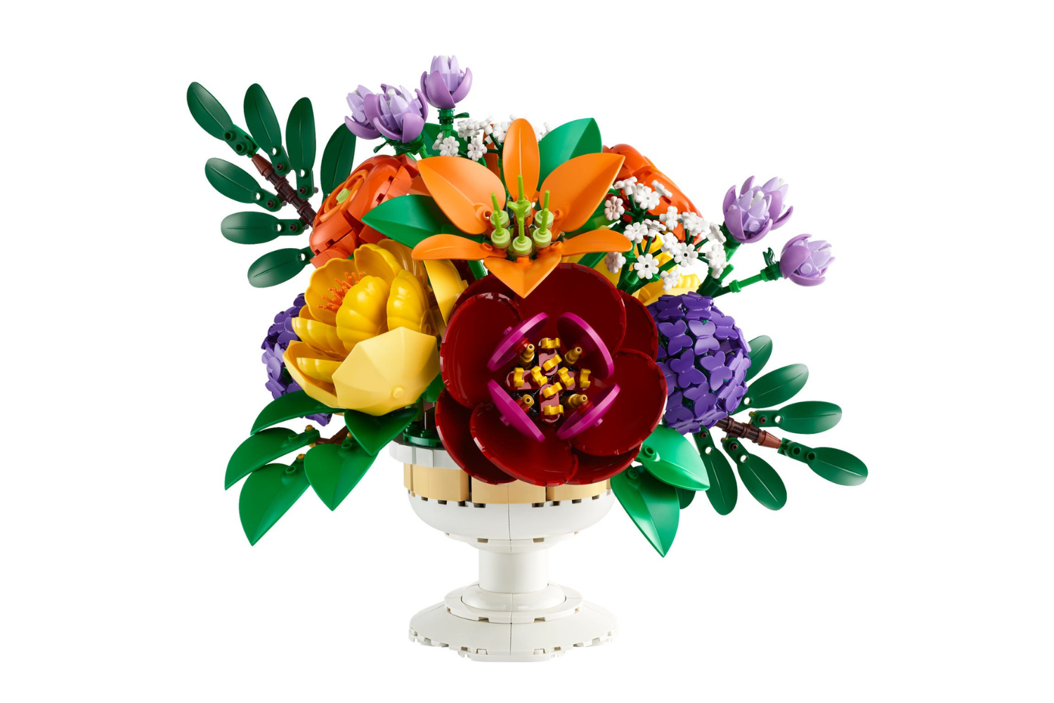 Botanical Collection