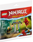 LEGO Kai and Rapton's Temple Battle