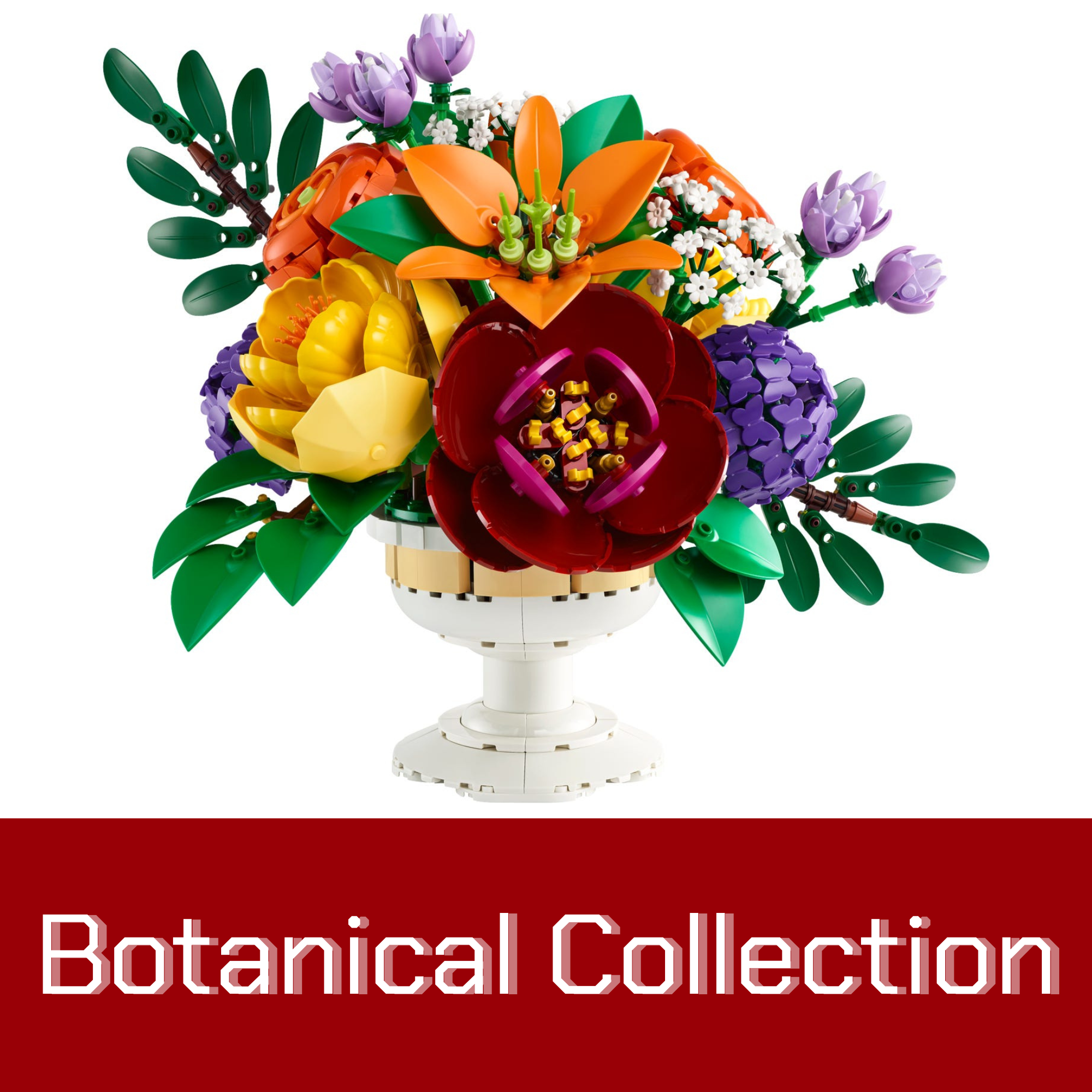 Collection Image