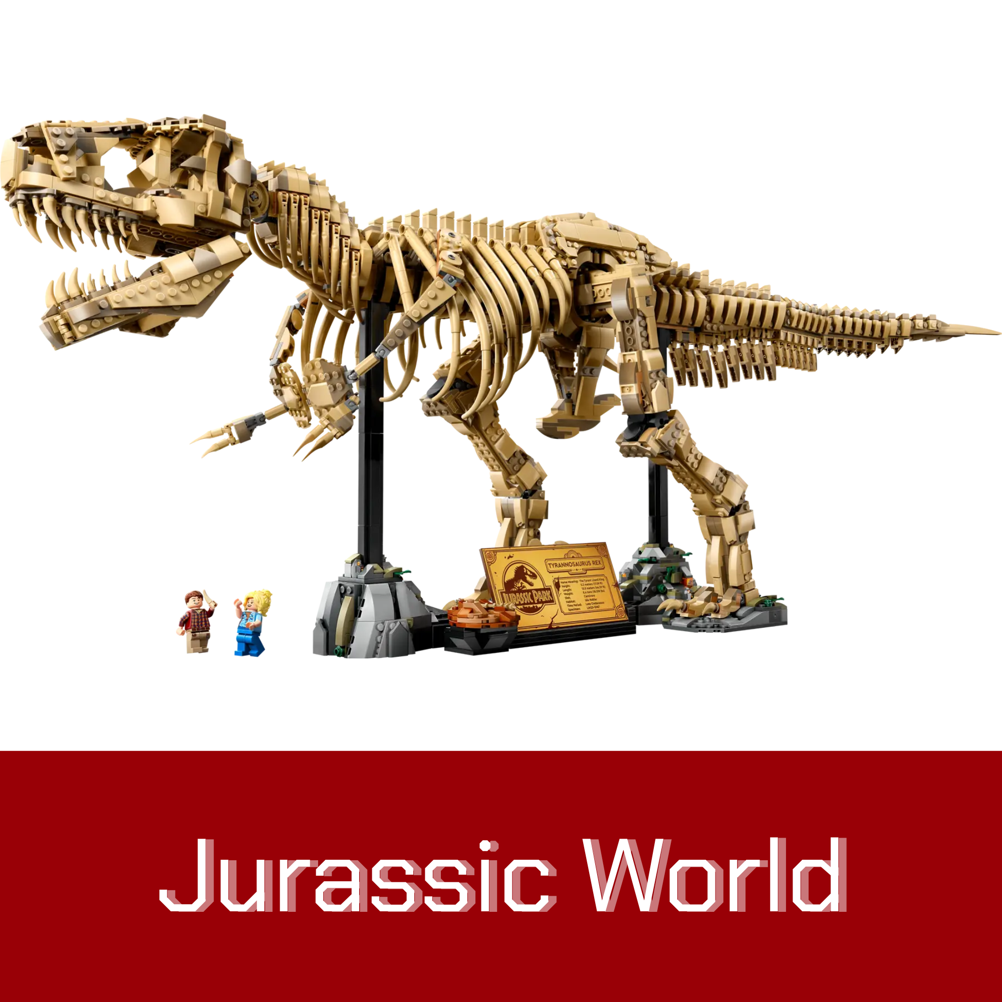 Collection Image