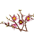 LEGO Magnolia Branches